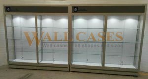 Wall Cases